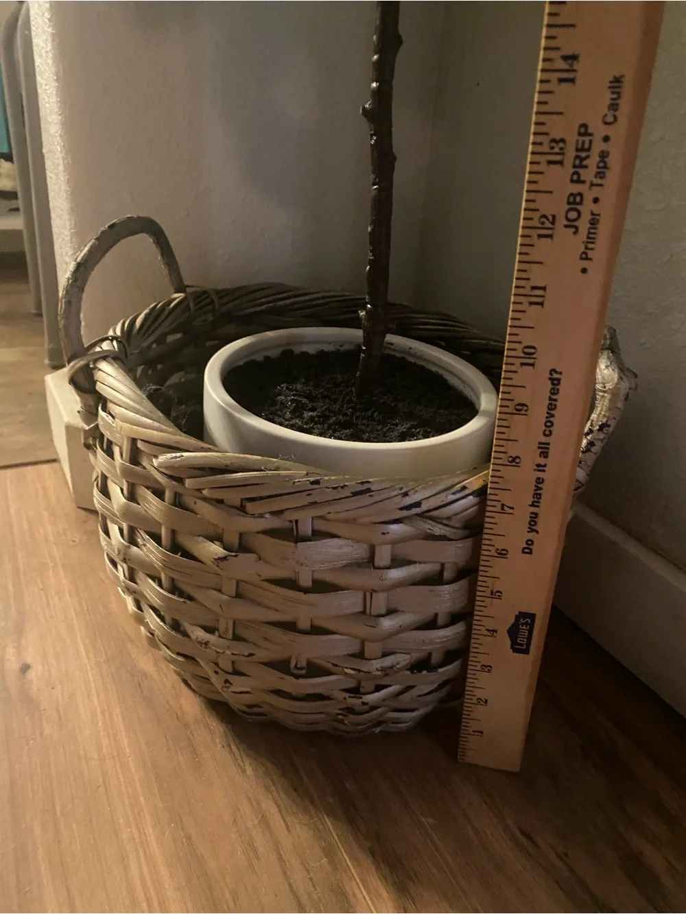 Faux Umbrellas Tree plant in Rattan Plant Basket with Handles